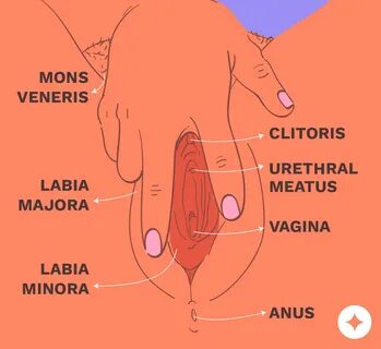 Best Way To Stimulate Clitoris.