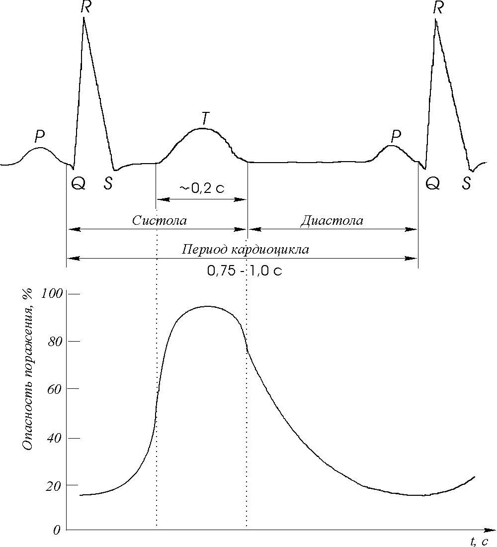 Систола диастола сердца с кардиограммой. Систола и диастола на кардиограмме. Фазы кардиоцикла физиология. Т фаза. Двухфазовая модель экономического цикла.