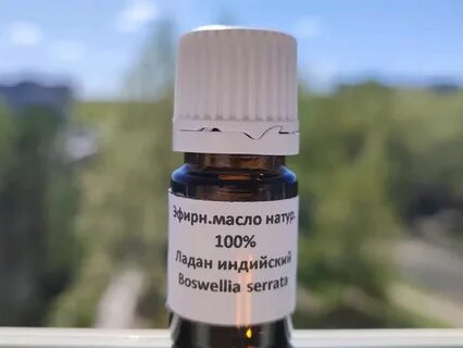 Ладанов ярославль