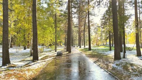 Парк в марте