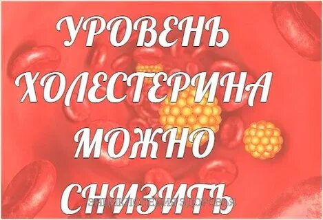 Помоги лене