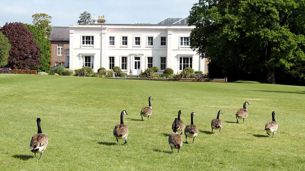 Park school. Leighton Park School. Leighton Park школа. Гимназии Беркшира Великобритании. Школьные парки в Англии.