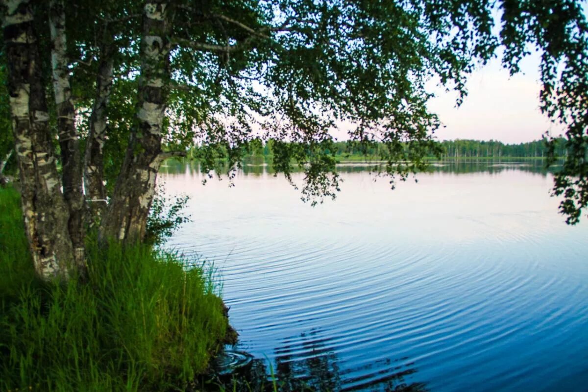 Луговая красноярский край. Озеро святое Абанский район Красноярский край. Абанский р-н озеро Луговое. Озеро пионерское Абанский район. Озеро Луговое Абанский район.