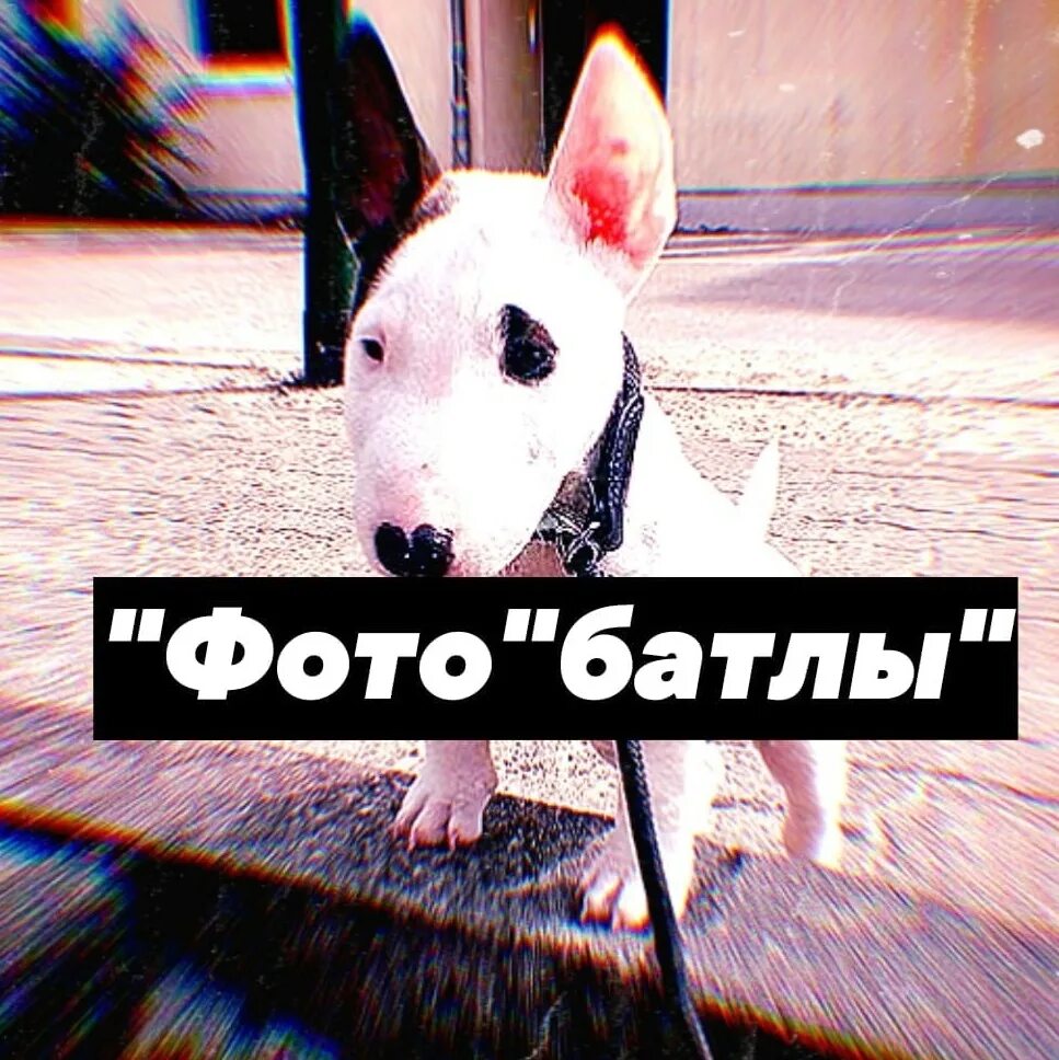 Напишите батл. Фото батл. фотобатлы обложка. фотобатлы фото. батлы картинки.