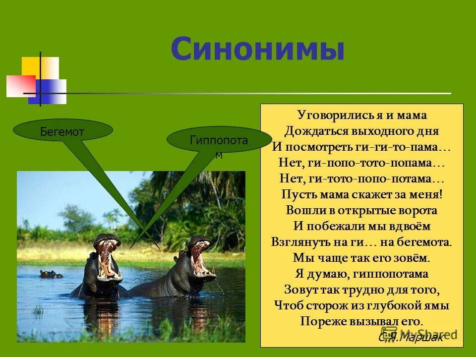 Звучание синоним. Синонимы. Синонимус. Презентация на тему синонимы. Синонимы картинки для презентации.