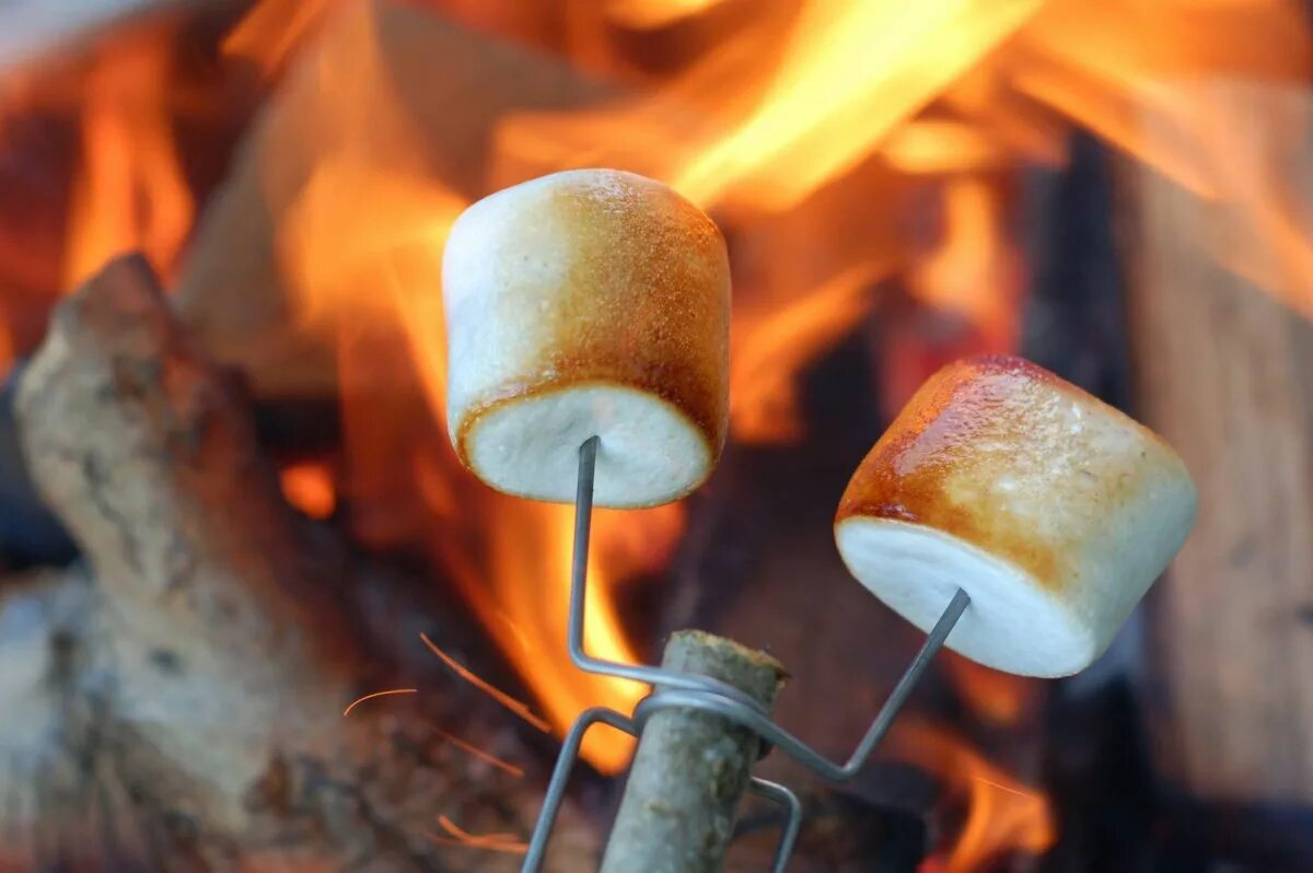 жареный маршмеллоу на костре. можно ли жарить маршмеллоу. зефир маршмеллоу на костре. жареный маршмеллоу на костре. можно ли жарить маршмеллоу.