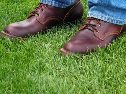 Nicks boots