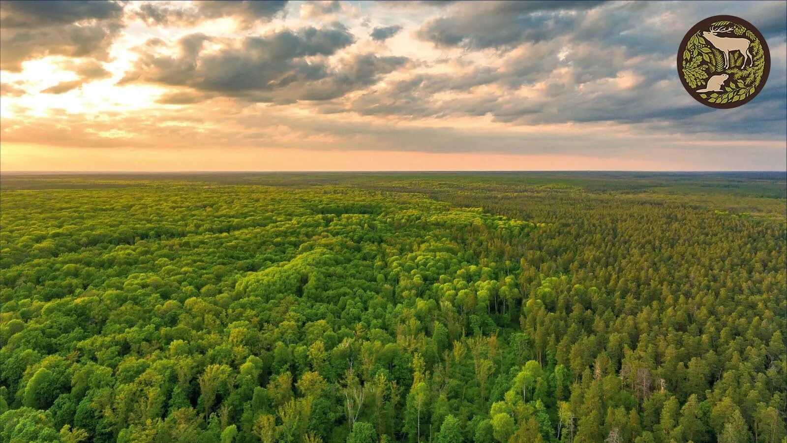 биосферный заповедник цели. астраханский заповедник цель создания. животный мир краснодарского края. цель охраны астраханского заповедника. западный кавказ презентация.