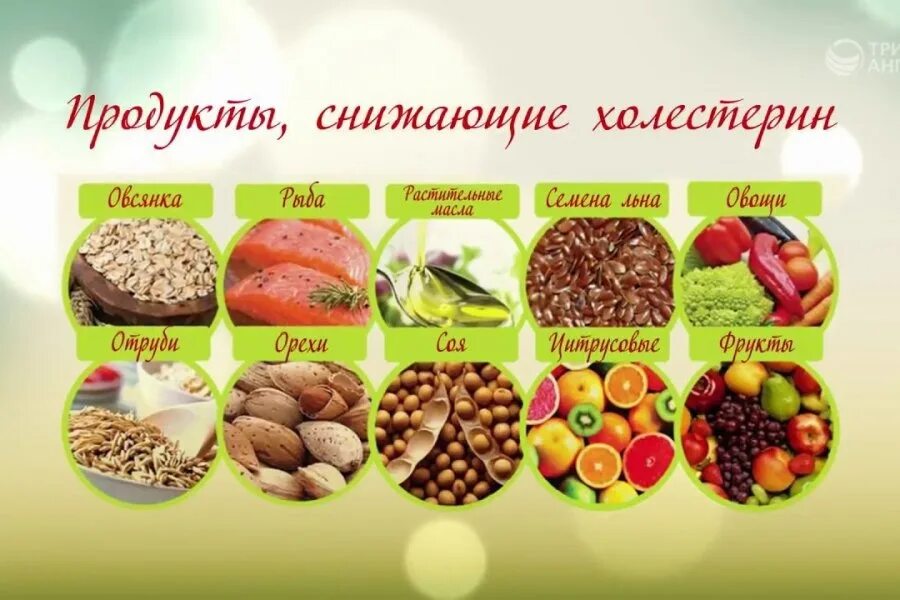 Грибы при холестерине повышенном можно ли есть