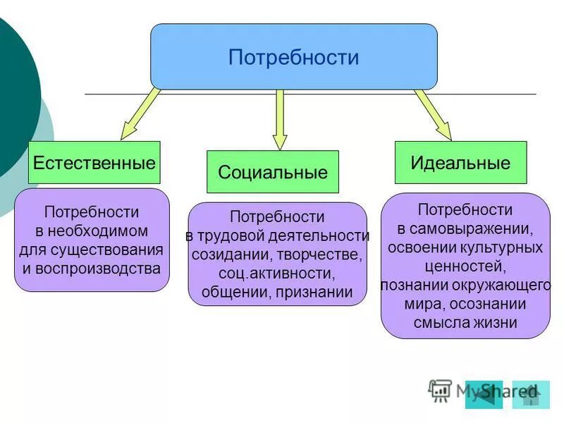 Идеальным является материальное