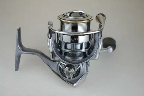 Daiwa exist