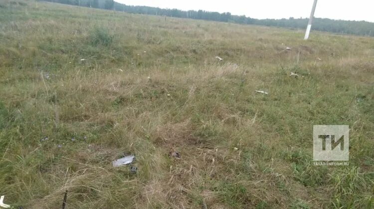 Прогноз бугульминскому району