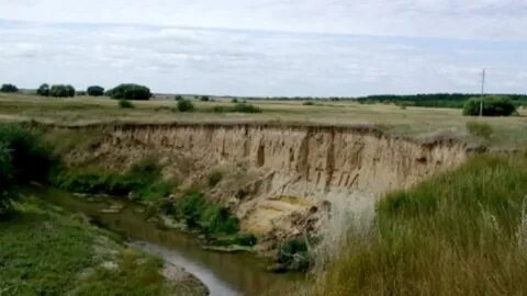 Кучук алтайский край