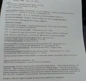 Узи сердца отзывы