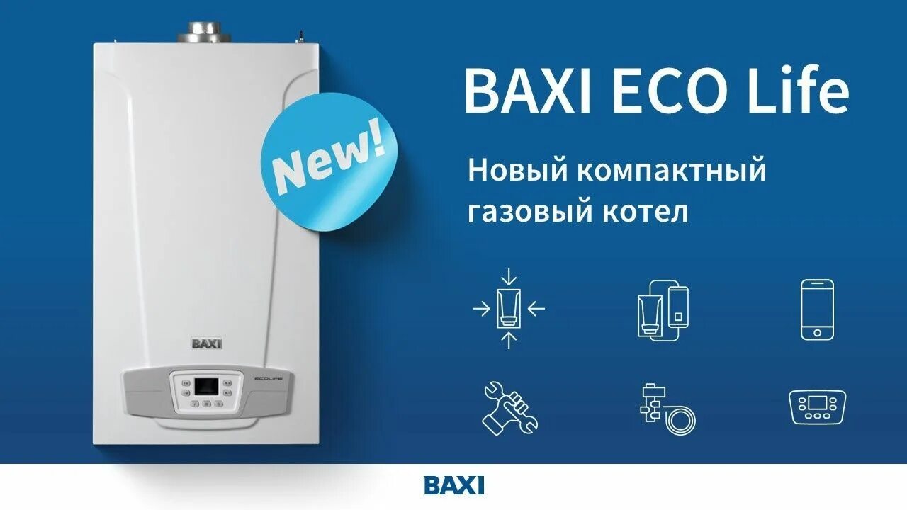 Котел газовый Baxi Eco Life 1.24 f. Baxi Eco Life 24f. Бакси эко лайф 1.24 f одноконтурный. Baxi котел Eco Life 24f.