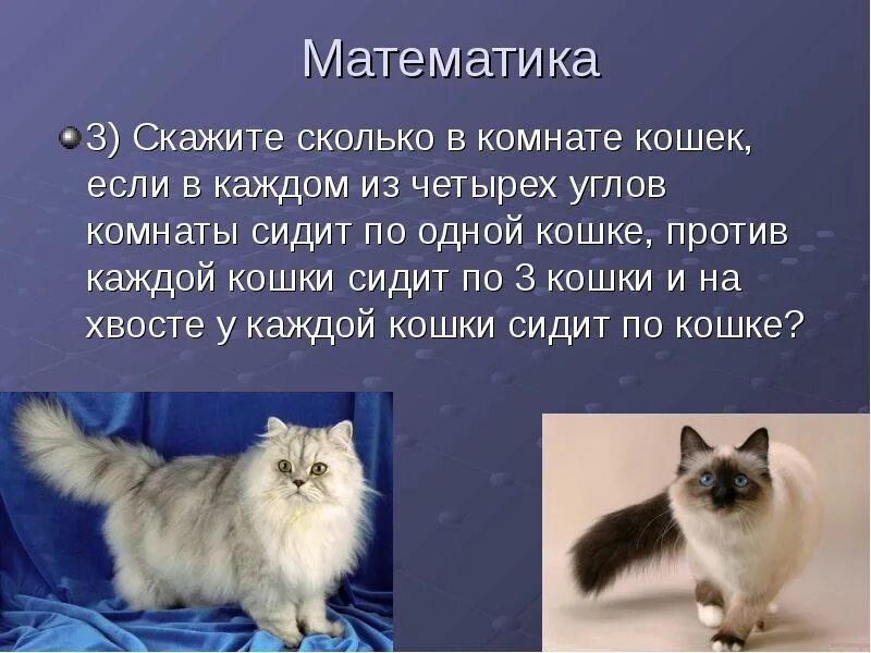 Сколько скажи 3. Сколько в комнате кошек если в каждом из четырех углов. Сколько кошек в комнате. Загадка про кошек. В каждом углу. Загадка про кошек в комнате 4 угла.