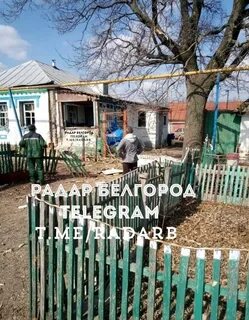 Тишанка белгородская область