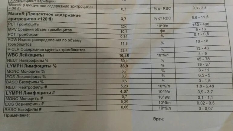 Процентное содержание эритроцитов. Процентное содержание эритроцитов 120. Содержание эритроцитов в процентах. Процентное содержание эритроцитов в крови понижено.