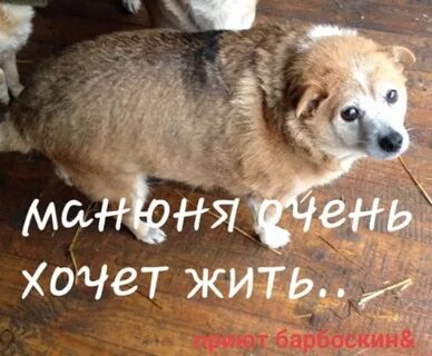 Право на жизнь чебоксары