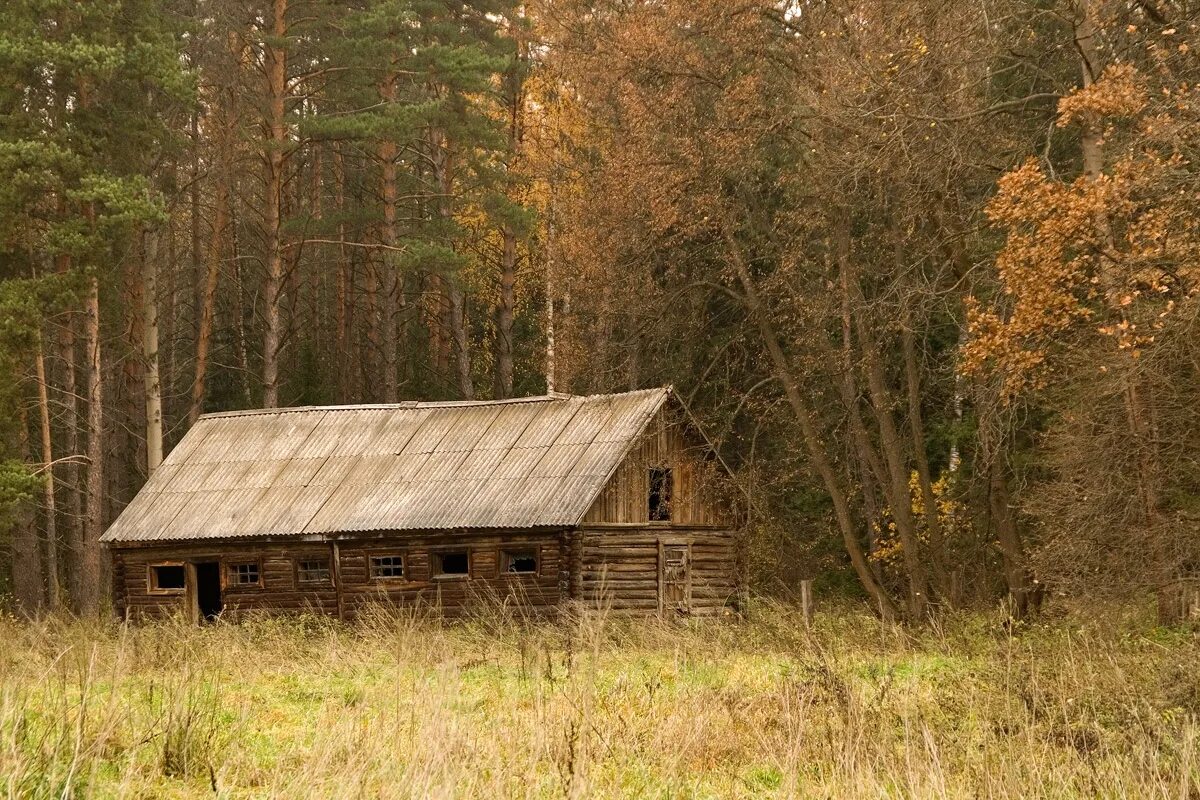 молодая сторожка. домик егеря. сторожка в лесу. сторожка. лесной дом лесника.