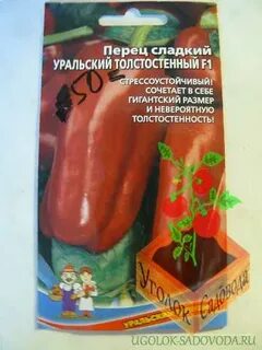 Перец уральский толстостенный f1