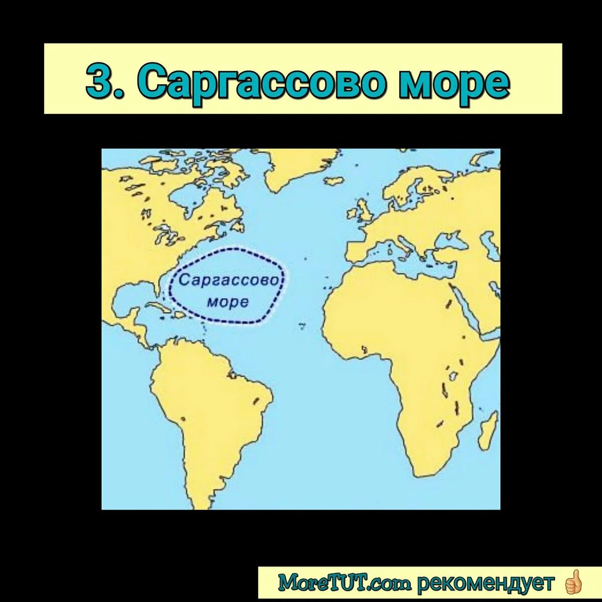 Саргассово какой океан. Саргассово море на карте. Где находится Саргассово море. Саргассово море границы.