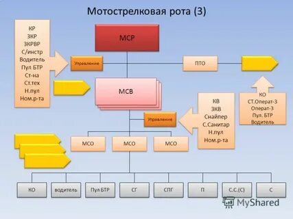Состав роты