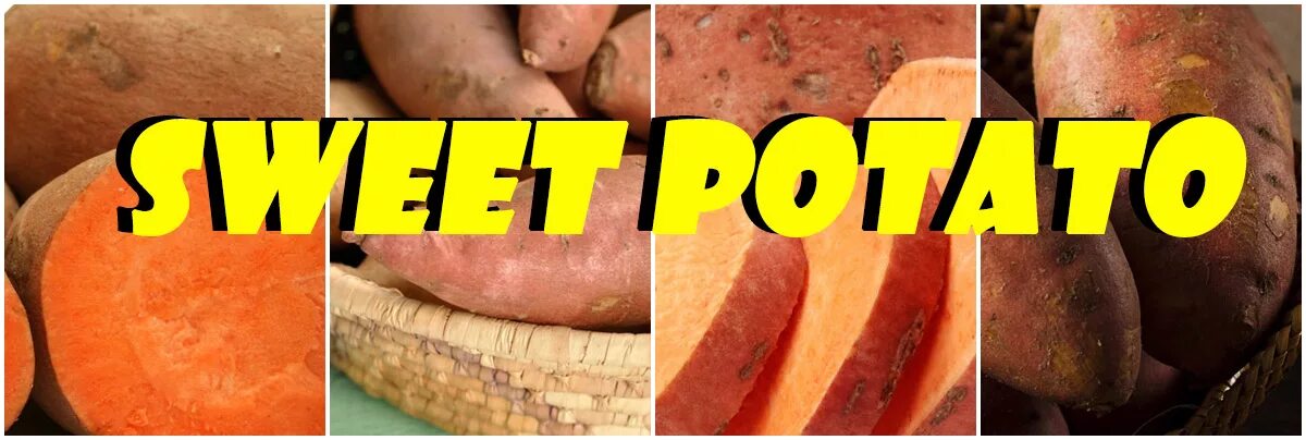 калорийность картошки.