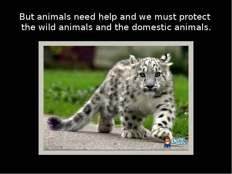Need that. Animals need our help 4 класс. our help to animals. draw pictures of animals that need our help. animals of russia for kids.