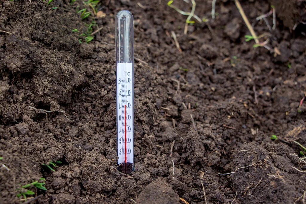 Какая должна быть земля для посадки. Термометр для почвы 6404 Park. Температура почвы. Термометр для грунта в теплице. Термометры на поверхности почвы.