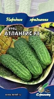 Дом семян огурцы