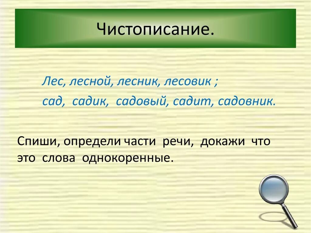 Род слова лесную. Предложение со словом Лесник. Предложение со словом Лесник 3 класс. Предложение со словом лес. Чистописание на тему прилагательные.