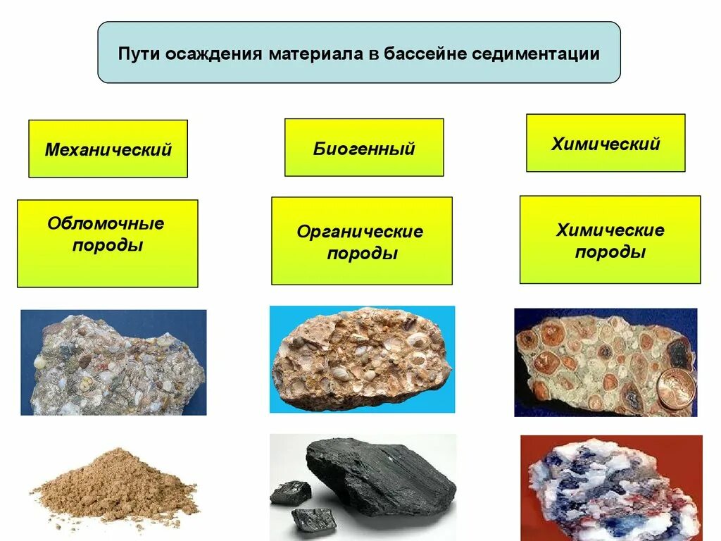 Выбери органические горные породы. Хемогенные осадочные горные породы. Органические горные породы. Биогенные горные породы. Биогенные горные породы примеры.