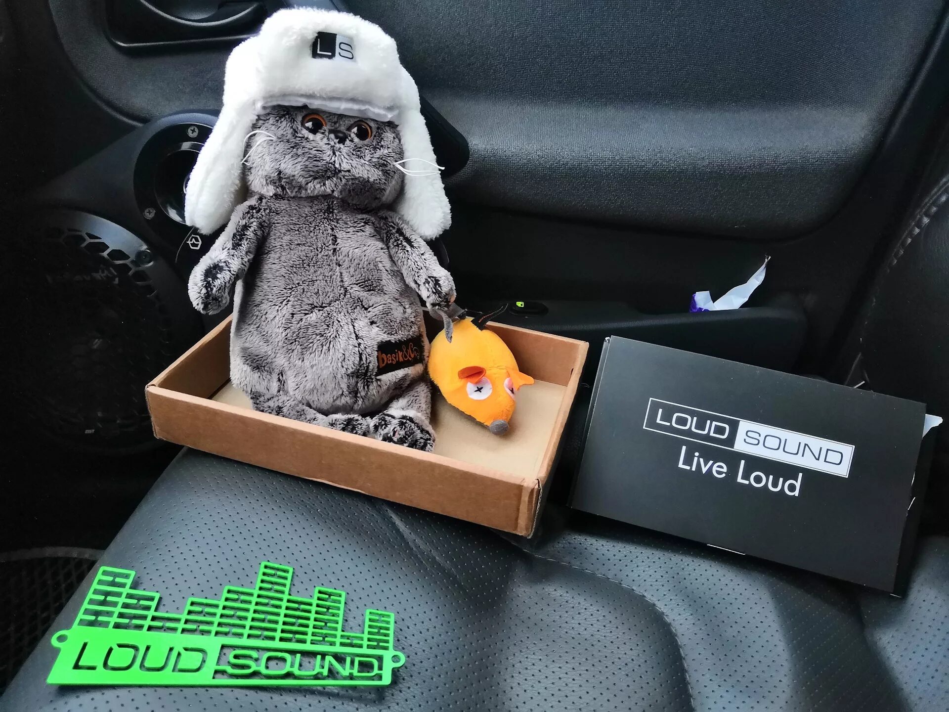 Кот саунд. Басик в ушанке loud sound 19см. Басик лоуд саунд. Басик в ушанке loud sound. Басик лоуд саунд.