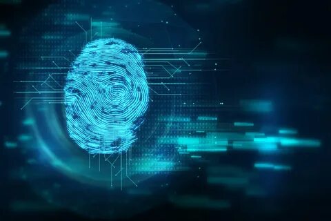 Fingerprint identification