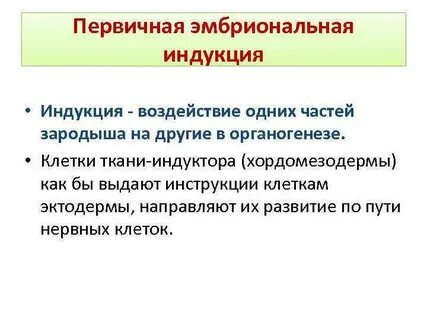 Индукция это от общего