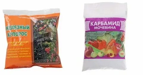 Обработка сада карбамидом и железным купоросом осенью
