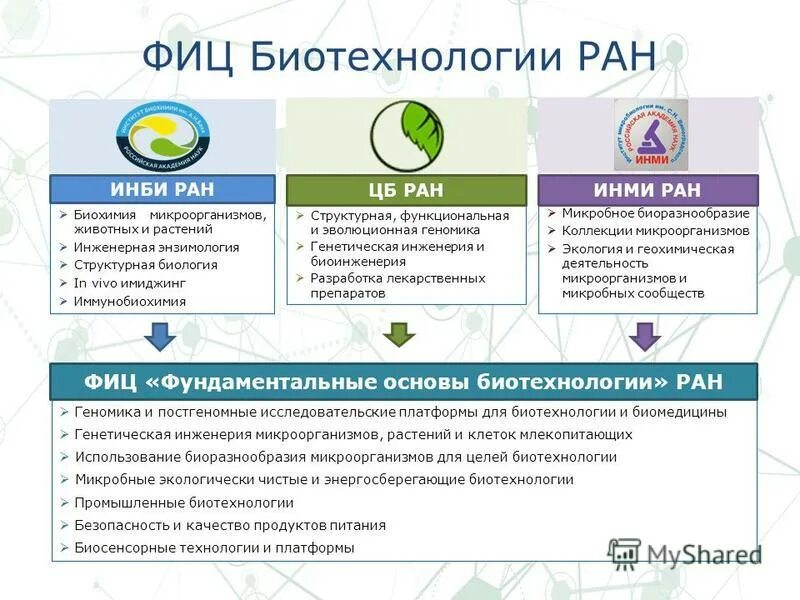 Биотехнологии ран