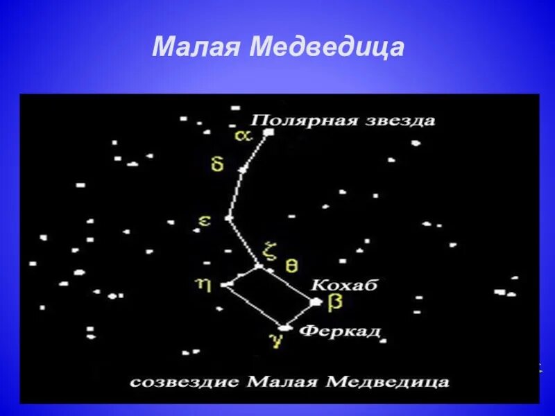 Созвездие малой медведицы какие звезды. Малая Медведица Созвездие название звезд. Из скольки звезд состоит малая Медведица. Малая Медведица и Полярная звезда. Звезды в созвездии малой медведицы.