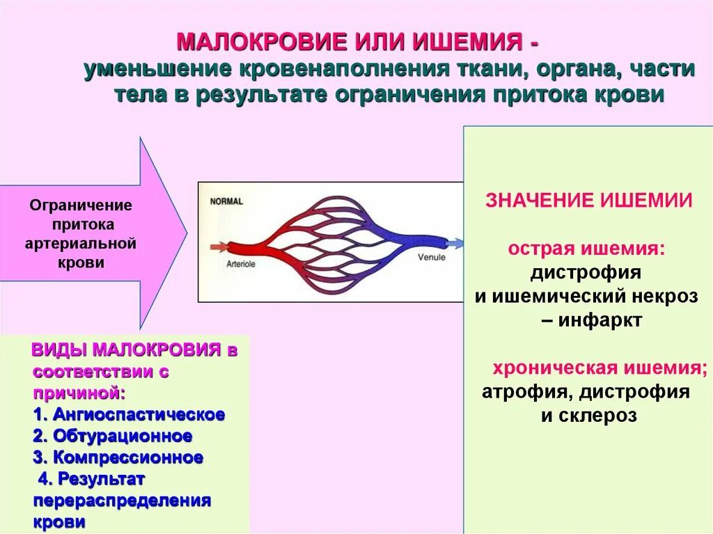 Нарушение кровообращения схема. Нарушение периферического кровообращения симптомы. Признаки артериального кровообращения