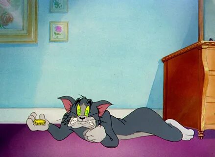 Jerry kitty