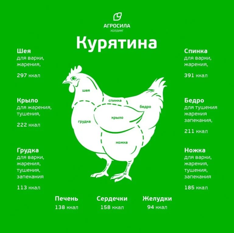 Чем полезна кура. Польза куриного мяса. Что полезного в курице. Чем полезна курица. Польза курицы.