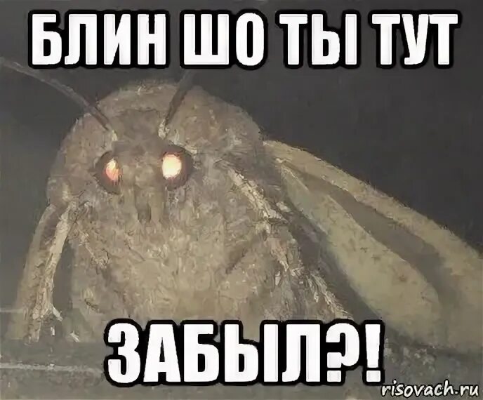 Тут н