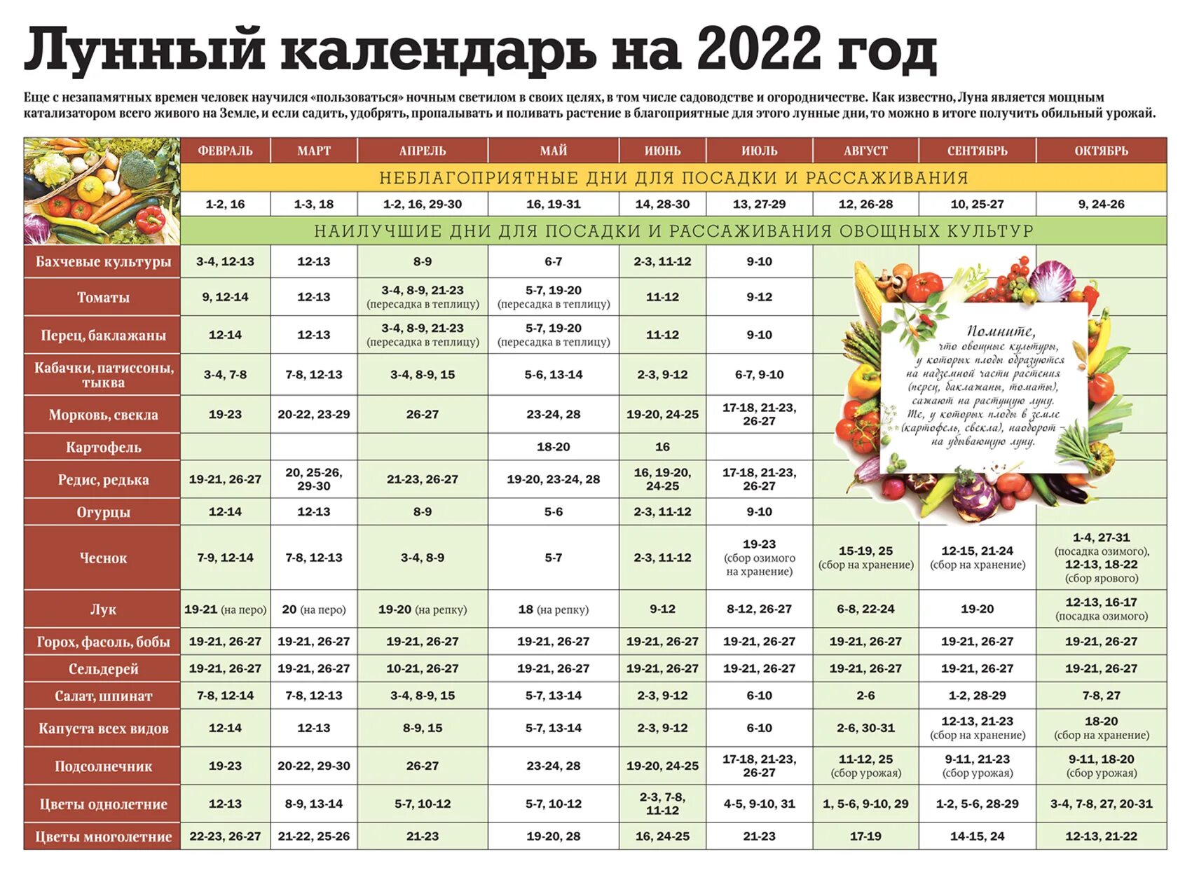 Удачные дни для посева в марте 2024. Лунный огородный календарь на 2022 год. Лунный посевной календарь на 2022. Лунный календарь на 2022 год. Лугнный календарь на 2022год.