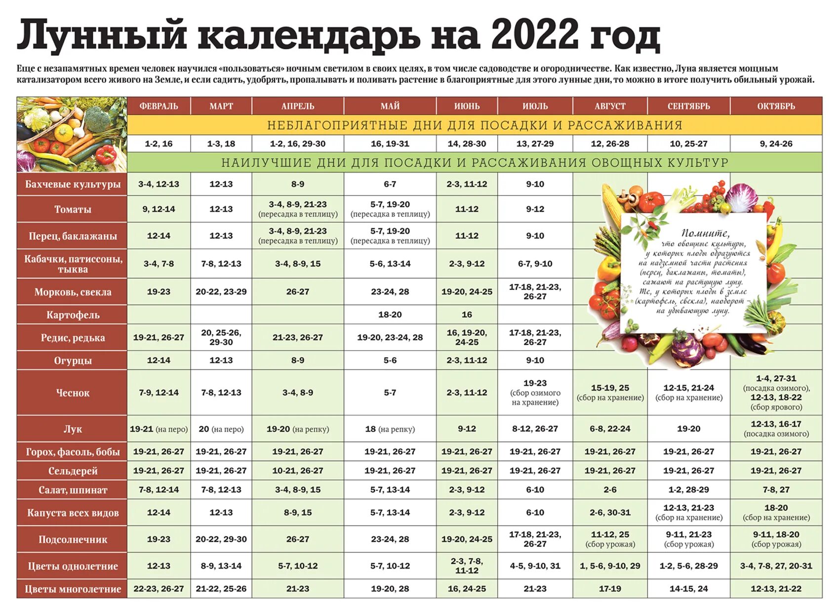 Удачные дни для посева в марте 2024