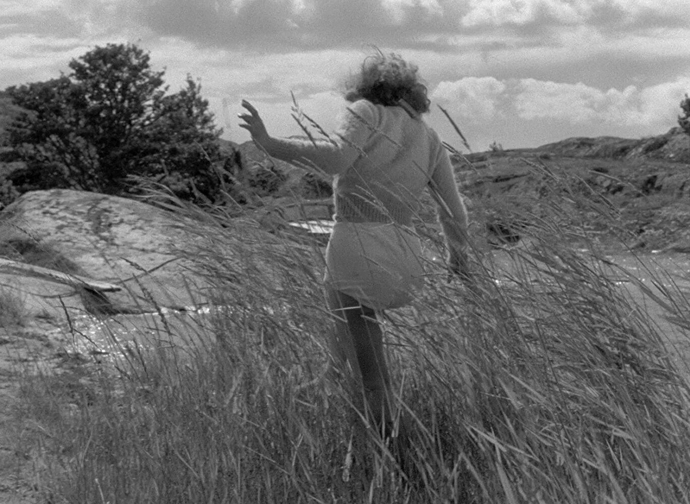 Кадры из лета. «Лето с Моникой» (1953), Ингмар Бергман. Лето с Моникой 1953. Лето с Моникой (sommaren med Monika) 1953. Харриет Андерсен лето с Моникой.