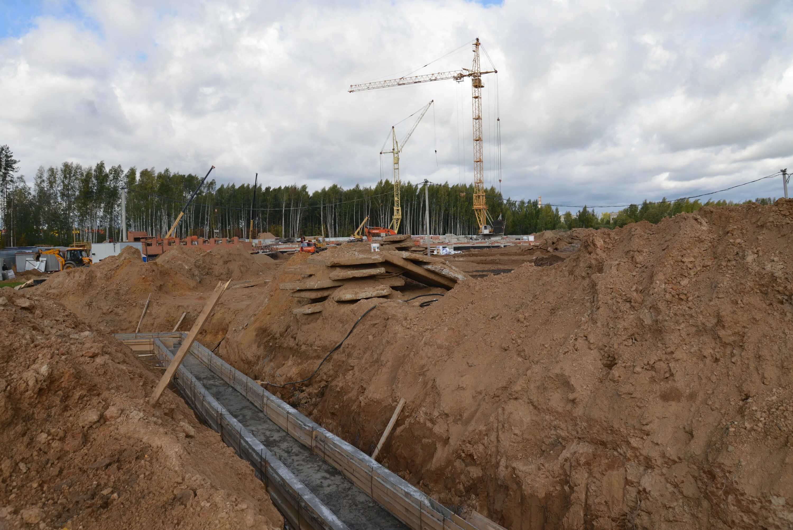нарушители благоустройства. глава администрации города костромы алексей смирнов. работа смирново. смирнова людмила петровна. работа смирново.