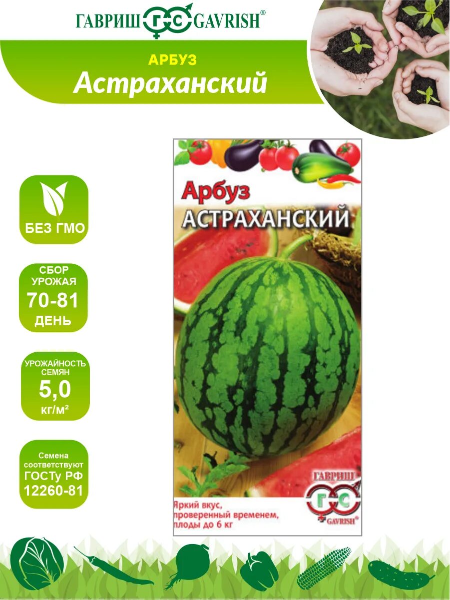 Арбуз астраханский семена. Астраханский сорт арбуза. Астраханский сорт арбуза. Медаль астраханского арбуза. Арбуз астраханский семена.