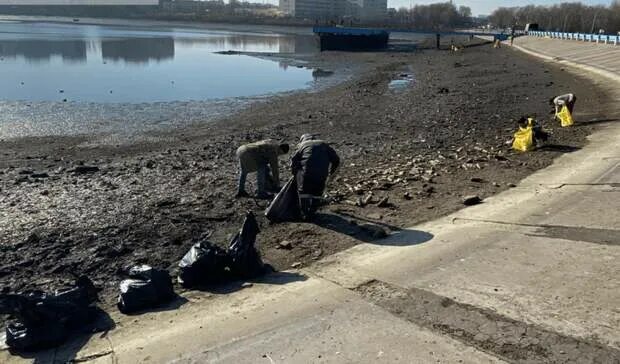 Когда дадут воду на северном ростов. Северное водохранилище ростов кувшинка. Когда дадут воду на северном ростов. Когда дадут воду на северном ростов. Тепловые сети ростов-на-дону.