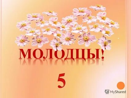 Молодец 5